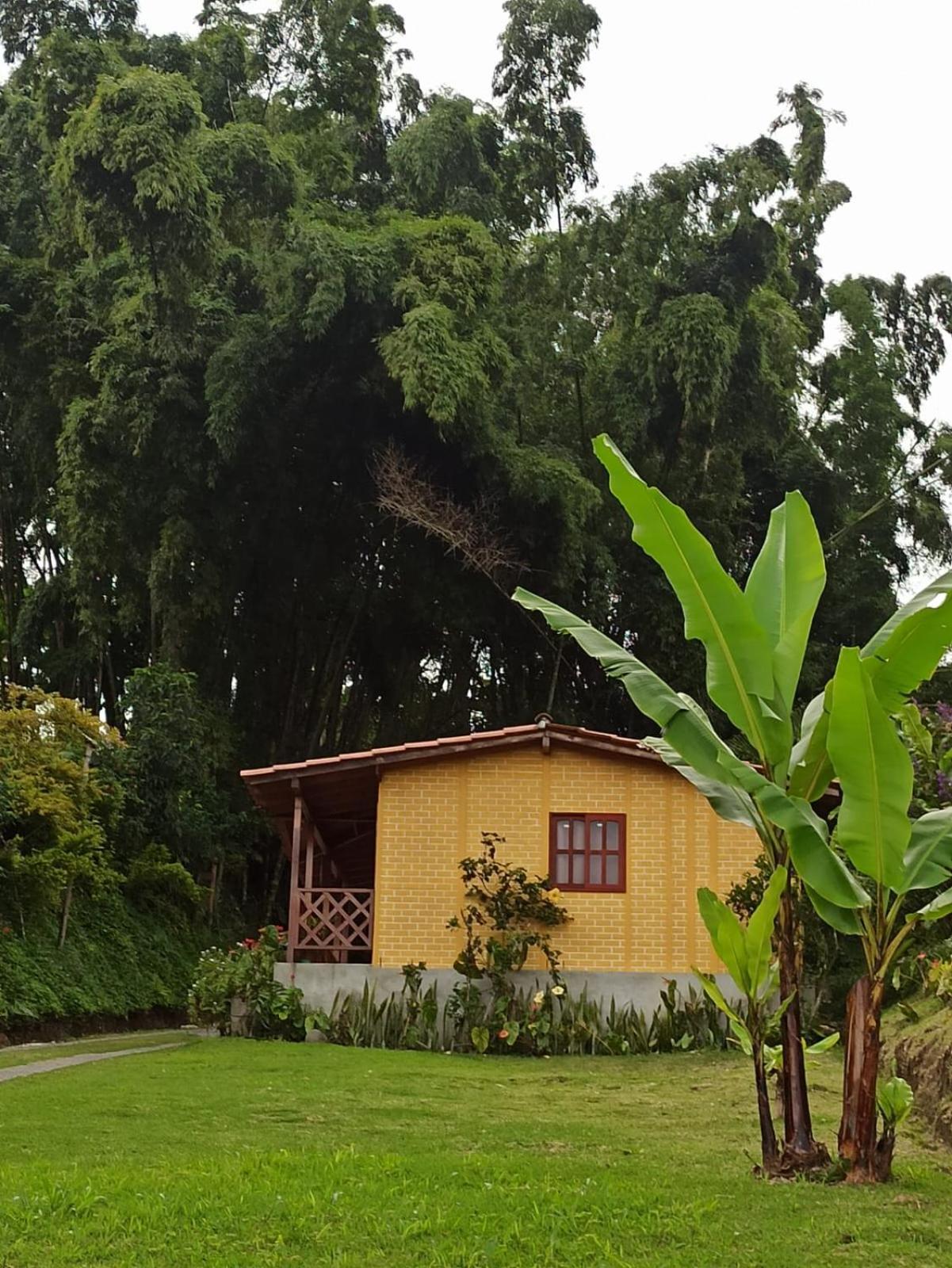 Alojamiento Campestre Cabanas Mirador Ingruma Riosucio Caldas Ruiosucio エクステリア 写真
